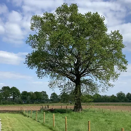 Dalem Met Hottub En Landelijk Σπίτι διακοπών *
