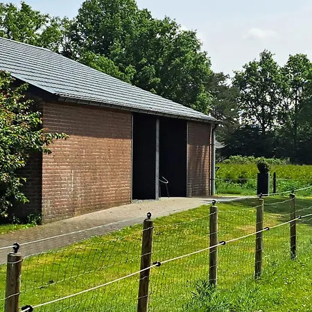 Dalem Met Of Zonder Hottub En Landelijk Semesterbostad Hapert