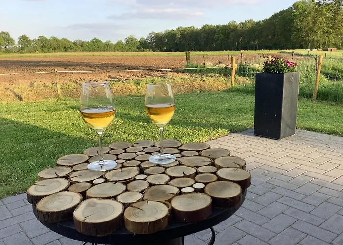 Dalem Met Hottub En Landelijk Vakantiehuis Hapert