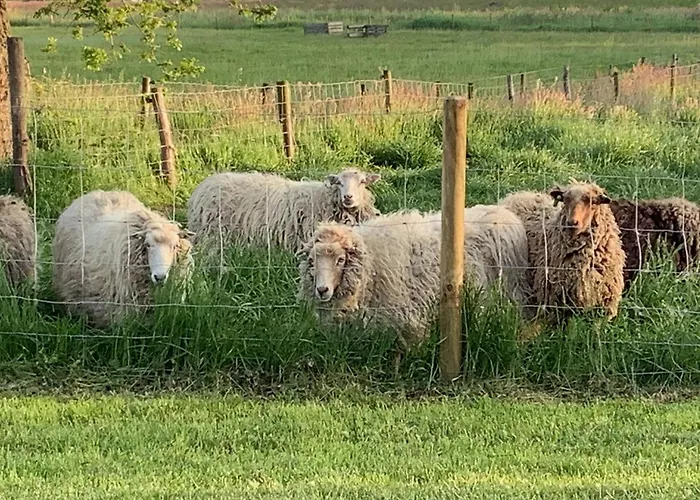 Dalem Met Hottub En Landelijk Hapert
