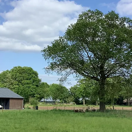 Dalem Met Of Zonder Hottub En Landelijk Ferienhaus