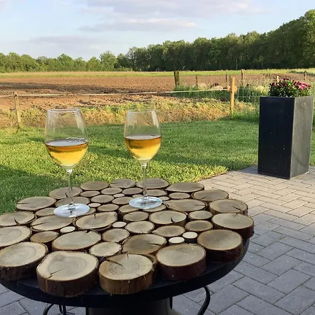 Dalem Met Hottub En Landelijk 別荘 Hapert