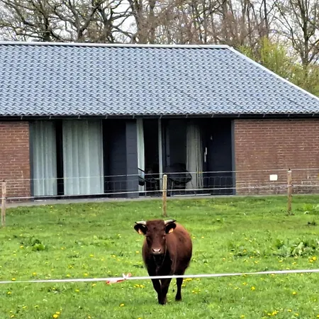 Dalem Met Of Zonder Hottub En Landelijk